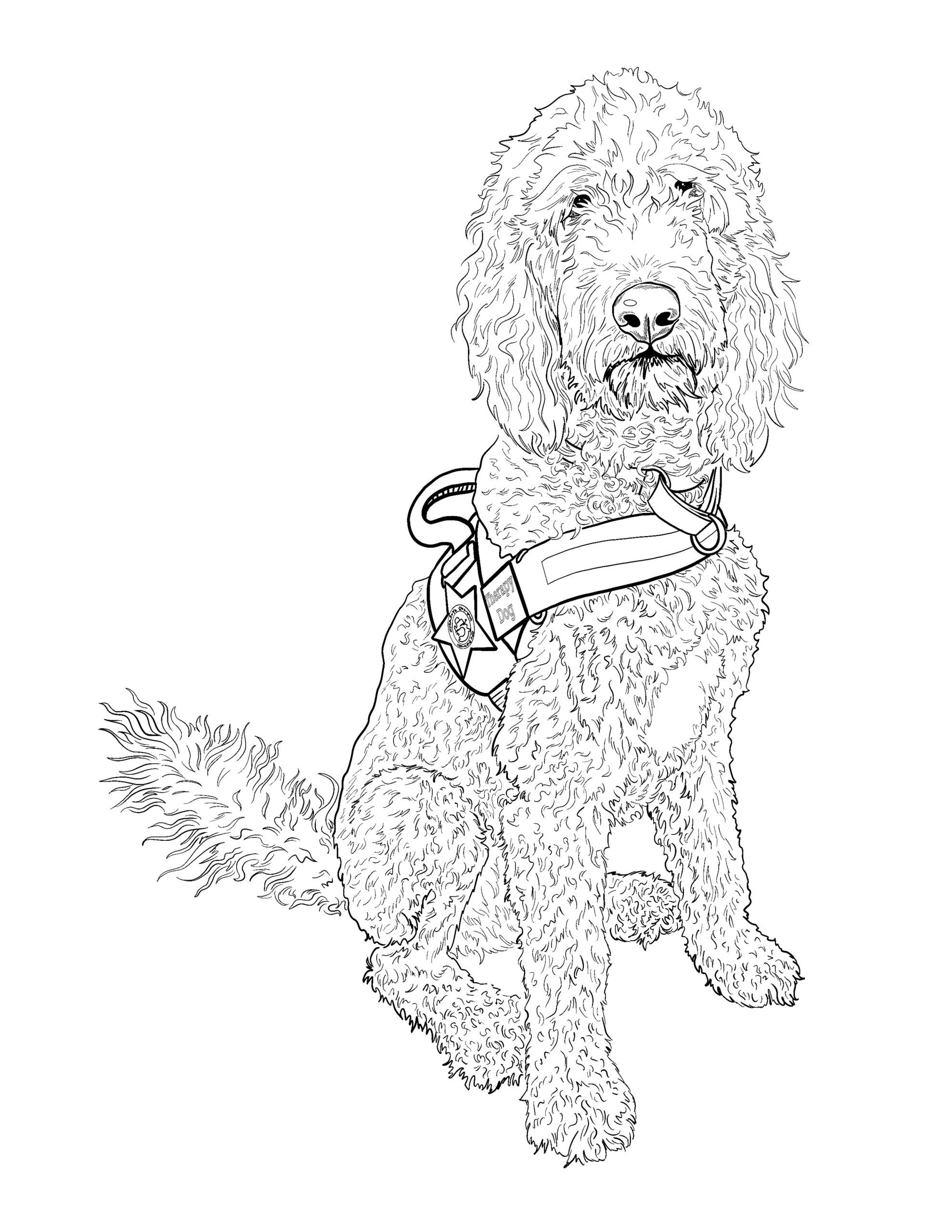 Coloring Pages K9 - Murphy - Osceola County Sheriff's Office - Sheriff