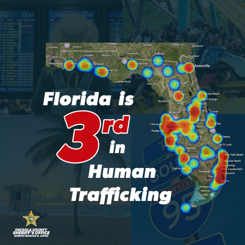 Florida ranks 3rd in rate of human trafficking.